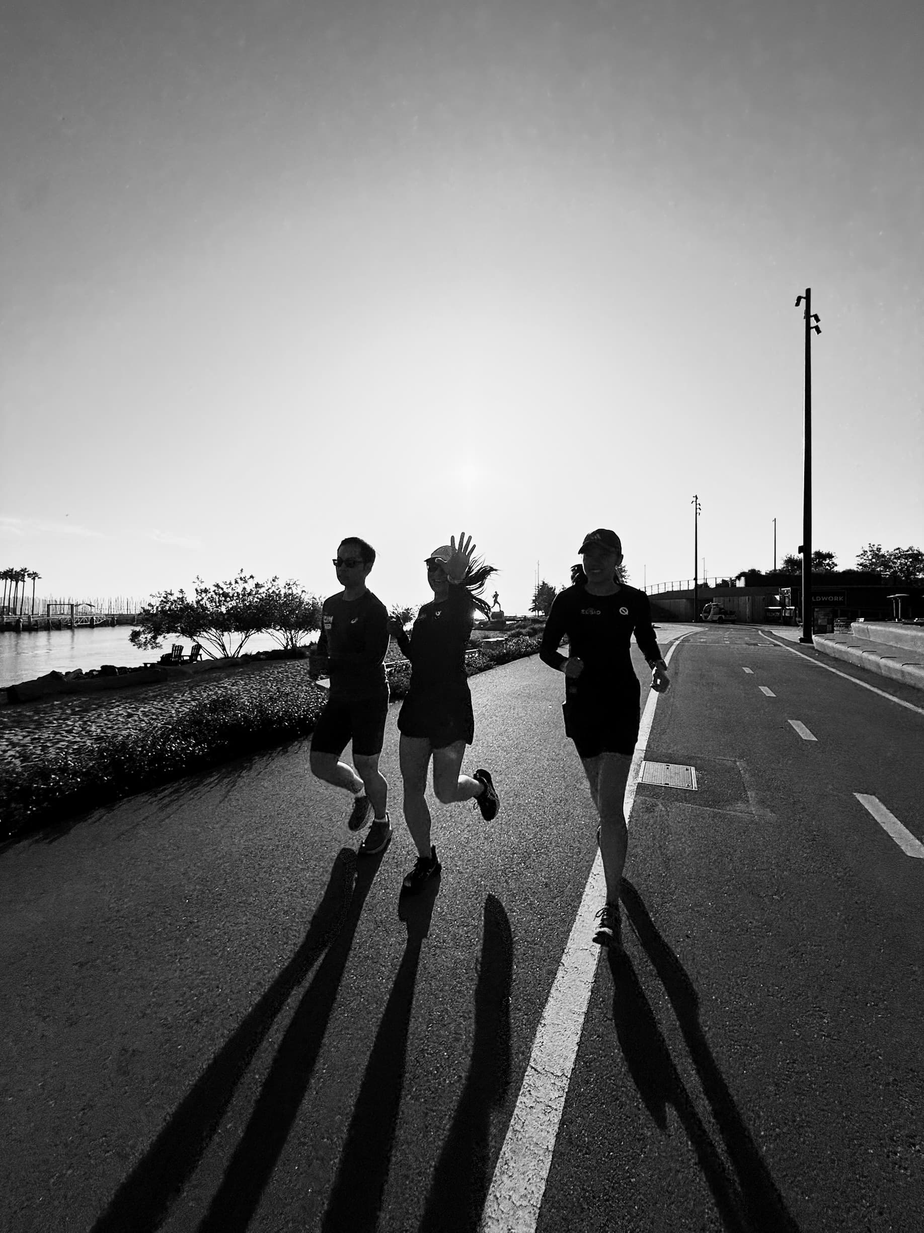 Morning silhouettes on the waterfront